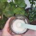 Ajoutez Ceci sous n&rsquo;importe quelle plante et même le buisson le plus chétif revivra : 10 fertilisants naturels