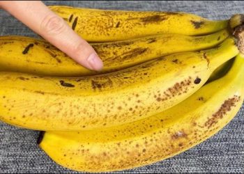 Les bananes noircissent en deux jours, mais le propriétaire de la boutique de fruits m&rsquo;a appris une astuce pour les garder fraîches pendant deux semaines.
