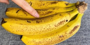 Les bananes noircissent en deux jours, mais le propriétaire de la boutique de fruits m&rsquo;a appris une astuce pour les garder fraîches pendant deux semaines.