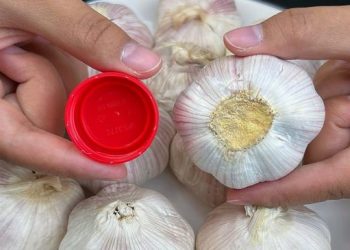 Il s&rsquo;avère que peler l&rsquo;ail est si simple : il suffit d&rsquo;un seul bouchon de bouteille. En une minute, vous pouvez peler une grande quantité sans effort