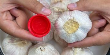 Il s&rsquo;avère que peler l&rsquo;ail est si simple : il suffit d&rsquo;un seul bouchon de bouteille. En une minute, vous pouvez peler une grande quantité sans effort