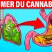 Ce qui arrive à votre corps lorsque vous fumez du cannabis