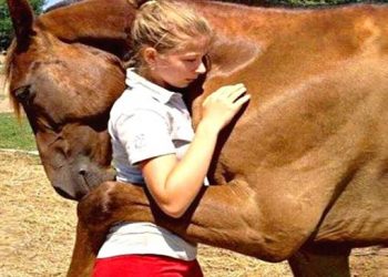 Des animaux réunis avec leur maître des années après ! (vidéo)