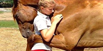 Des animaux réunis avec leur maître des années après ! (vidéo)