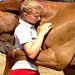 Des animaux réunis avec leur maître des années après ! (vidéo)
