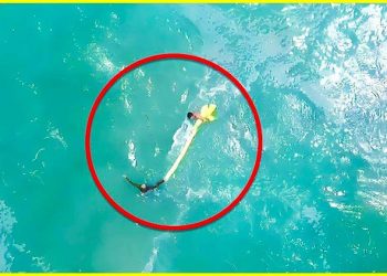 Un drone fait une découverte glaçante au milieu de l&rsquo;océan par accident !