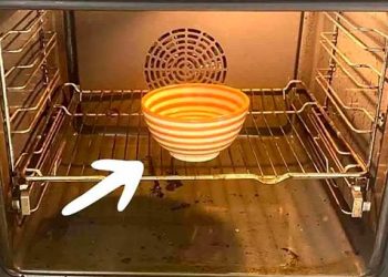 L&rsquo;astuce du bol pour nettoyer le four sans effort, même la saleté incrustée disparait