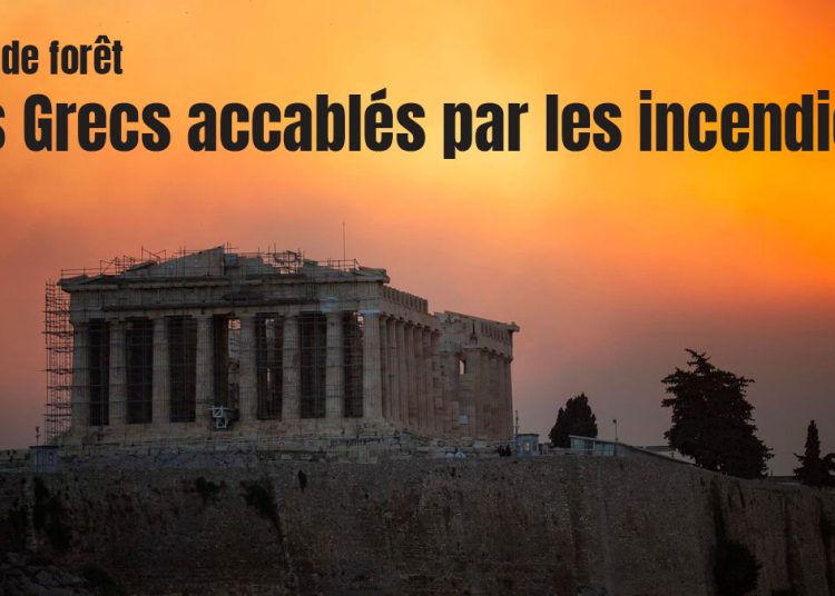 Feux de forêt : Les Grecs accablés par les incendies
