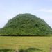 L&rsquo;arbre le plus grand de Colombie est si large qu&rsquo;il a développé des piliers pour soutenir ses branches