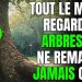 Les arbres parlent ! Lorsque vous passerez près d&rsquo;un arbre, remarquez ces détails…
