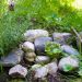 Peut-on enterrer son animal dans le jardin ?