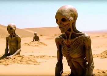 Les scientifiques ont fait une nouvelle découverte terrifiante en Afrique qui change tout !