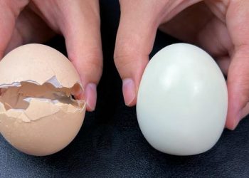 Œufs durs : évitez de les plonger directement dans l&rsquo;eau froide. Voici la méthode correcte pour obtenir des œufs savoureux et conserver tous leurs nutriments. La coquille se retire facilement en une seule fois.