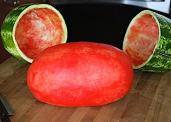 Aujourd&rsquo;hui, j&rsquo;ai appris une astuce ingénieuse pour transformer une simple pastèque en un objet étonnant qui épatera tous vos invités lors de vos piques-niques ou fêtes