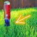Pourquoi faut-il planter un tournevis dans la pelouse ? L&rsquo;astuce des jardiniers malins.