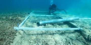 Une route en pierre découverte au fond de la Méditerranée, 7000 ans après sa construction