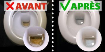 Comment nettoyer et blanchir ses WC facilement !