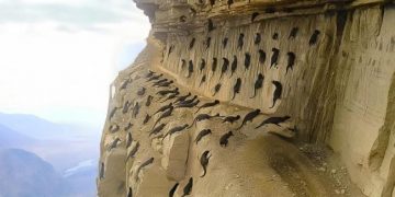 Le Japon a amené des tueurs de serpents sur l&rsquo;île. 25 ans plus tard, tout le monde a été choqué