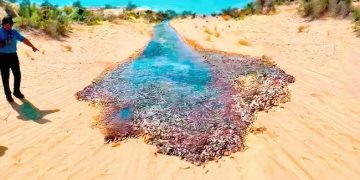 Un moment unique parmi un milliard dans la nature