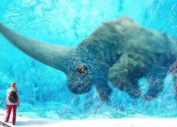 Animaux éteints que les scientifiques sont proches de ressusciter !