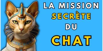 La mission secrète des chats : pourquoi les chats arrivent-ils dans ta vie ?