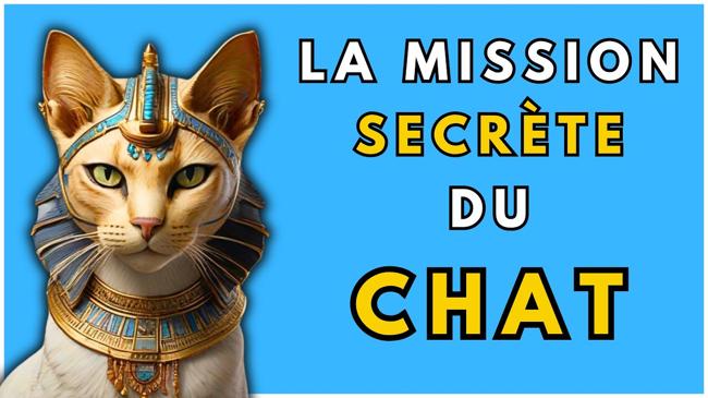 La mission secrète des chats : pourquoi les chats arrivent-ils dans ta vie ?