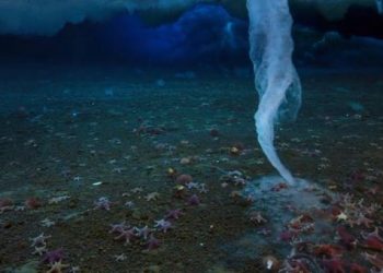 Le doigt glacé de la mort filmé pour la première fois, figeant tout sur son passage