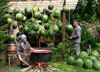 Guimauve à la pastèque : une friandise naturelle à faire soi-même 🍉 (vidéo)