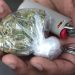 La raison troublante pour laquelle le cannabis a été rendu illégal aux États-Unis
