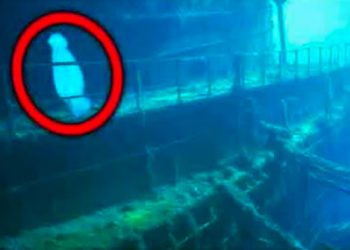 Ce qu&rsquo;ils ont découvert dans le Titanic a choqué le monde entier