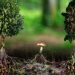 Un écologiste affirme que les arbres se parlent entre eux dans une langue que l&rsquo;on peut apprendre