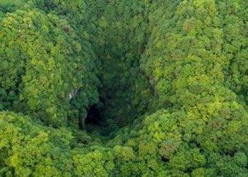 Un gouffre immense découvert en Chine et abritant une forêt vierge
