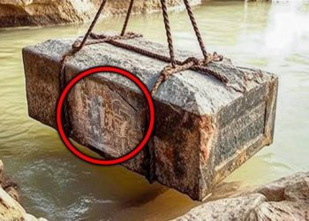 Ce que les scientifiques viennent de découvrir au Grand Canyon terrifie le monde entier !
