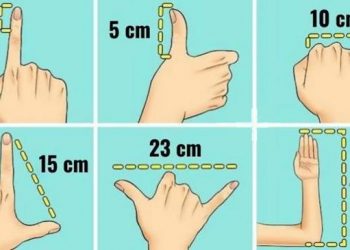 4 méthodes pour mesurer les objets sans utiliser un mètre