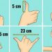 4 méthodes pour mesurer les objets sans utiliser un mètre