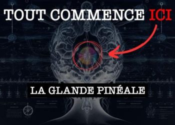 Glande pinéale : explication détaillée (j&rsquo;aurais aimé savoir ça plus tôt)