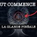 Glande pinéale : explication détaillée (j&rsquo;aurais aimé savoir ça plus tôt)