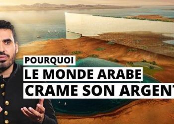 Pourquoi le monde Arabe déconne avec son argent ? | Idriss Aberkane