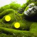 Les 10 lieux les plus mystérieux que les scientifiques n’arrivent toujours pas à expliquer