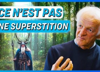 Les arbres ont-ils la faculté de penser ? – Quand la science prouve ce que les Anciens savaient déjà