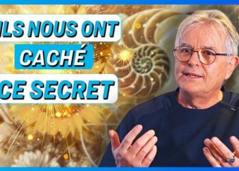 « Les Grands Bâtisseurs savaient » — Un acteur de la reconstruction de Notre-Dame