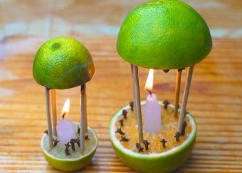 Avec ce remède, non seulement vous parfumerez votre maison, mais les moustiques ne reviendront jamais