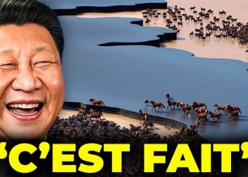 Ils ont relâché un troupeau de chevaux disparus dans le désert chinois… Ce qui s’est passé ensuite a choqué les biologistes