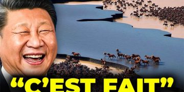 Ils ont relâché un troupeau de chevaux disparus dans le désert chinois… Ce qui s&rsquo;est passé ensuite a choqué les biologistes