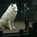 Des scientifiques ressuscitent les loups géants 10.000 ans après leur extinction (ou pas?)