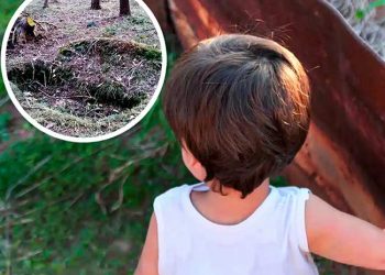 Un garçon de 3 ans se souvient d&rsquo;avoir été assassiné dans sa « dernière » vie et indique l&rsquo;endroit où son corps a été enterré