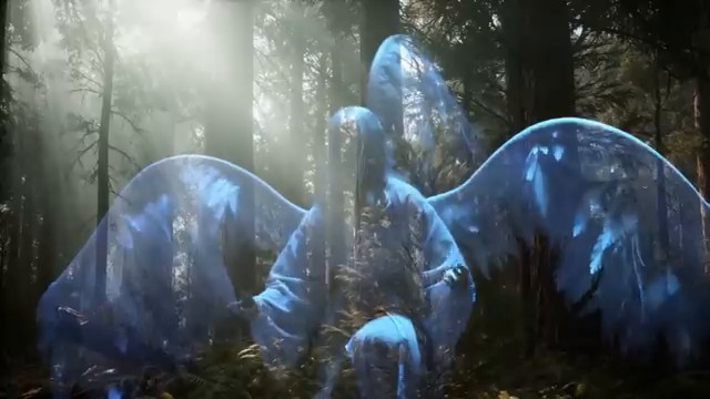 Vision de la femme ailée dans la forêt
