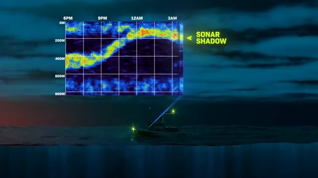 Graphique de sonar révélant l'ombre massive de la plus grande migration animale quotidienne vers la surface.