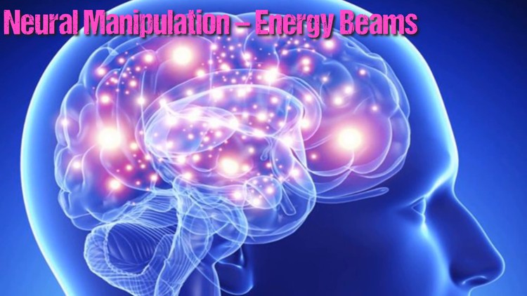 Modélisation 3D d'un cerveau humain montrant les connexions neuronales et la bioélectricité.