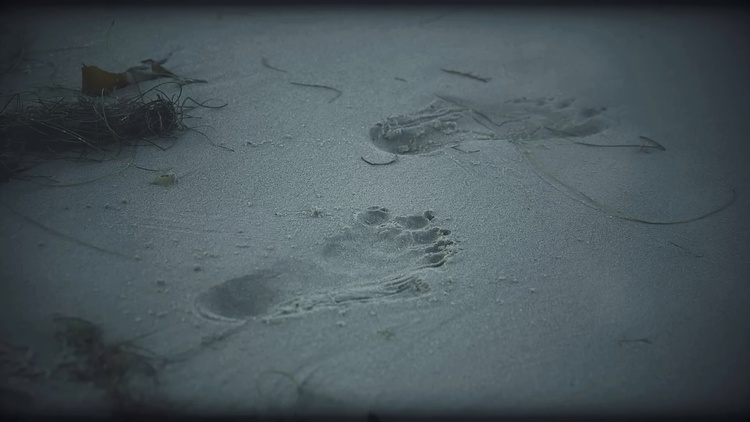 Empreintes de pas humanoïdes avec des orteils palmés découvertes sur une plage.